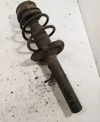 Front shock absorber with coil spring