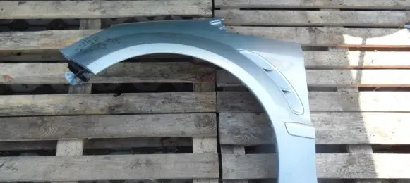Ford S-MAX Fender