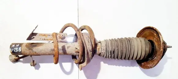 Ford Focus Front shock absorber/damper
