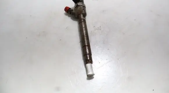 Jeep Grand Cherokee (WJ) Fuel injector 0445110204
