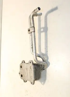 Volkswagen PASSAT B6 Engine oil radiator 03C117021M