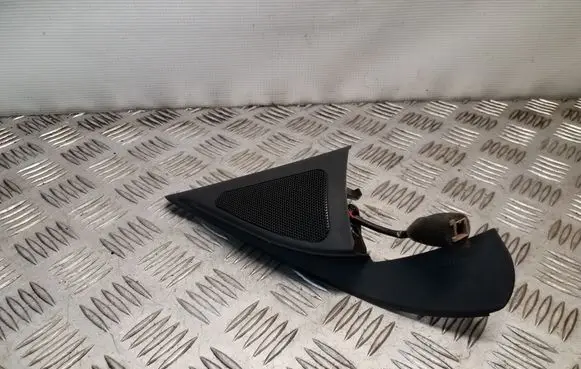 Front door high frequency speaker