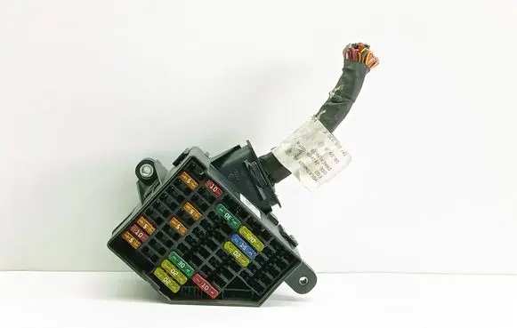 Volkswagen PASSAT B6 Fuse box set 3C1941824