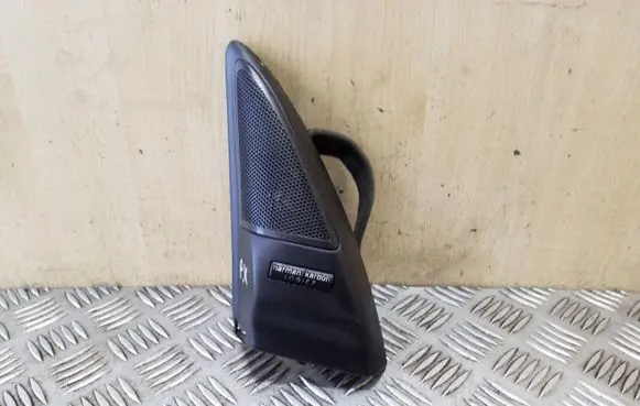 Front door high frequency speaker