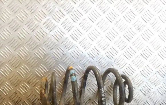 Rear coil spring