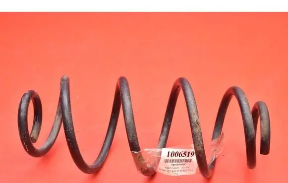 Rear coil spring