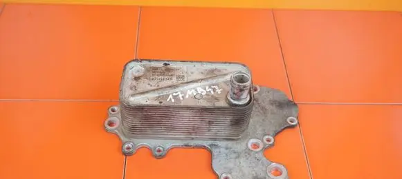 Opel Insignia A Engine oil radiator 55495019 17MB47