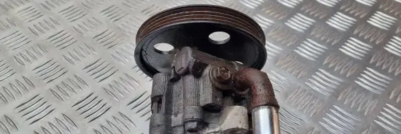 Chrysler Grand Voyager IV Power steering pump 20602164F