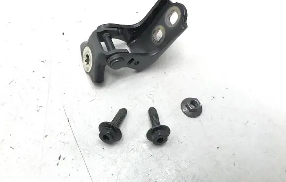 Renault Scenic E-Tech V Rear door lower hinge 804005615R