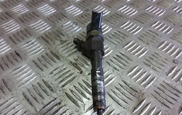 Renault Scenic I Fuel injector 8200100272