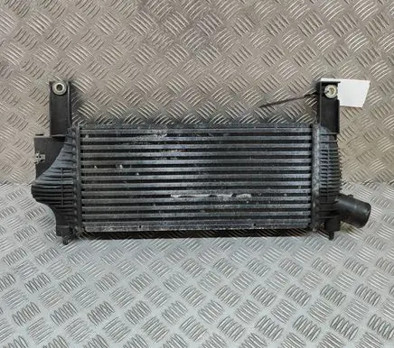 Nissan NP300 Intercooler radiator 14461EB360