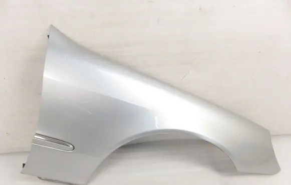 Mercedes-Benz S W220 Fender