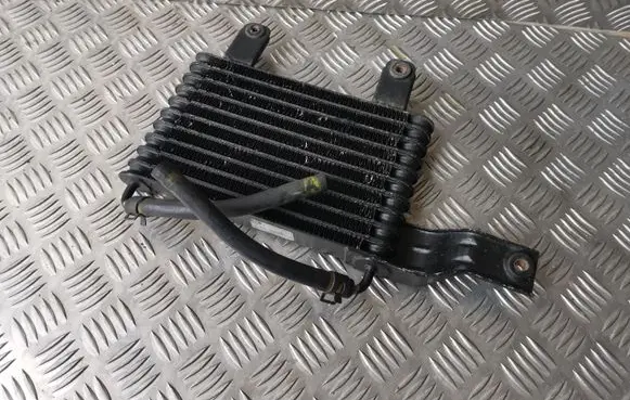 Hyundai Equus LZ Power steering radiator 254603B000