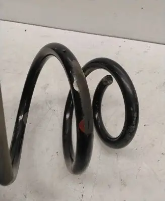 Nissan Juke I F15 Rear coil spring