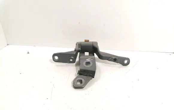 BMW 5 GT F07 Tailgate/trunk/boot hinge 7200534