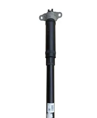 Ford Kuga III Rear shock absorber/damper LX6118A116BB MX6118080SAB