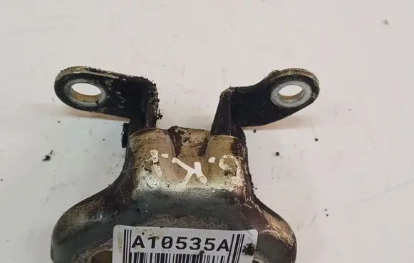 Rear door lower hinge