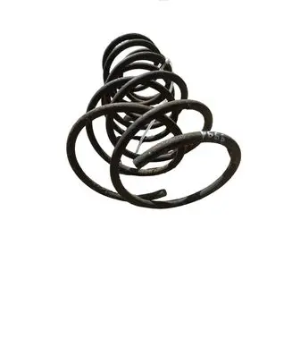 Rear coil spring
