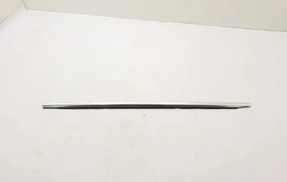 Rear door trim (molding)