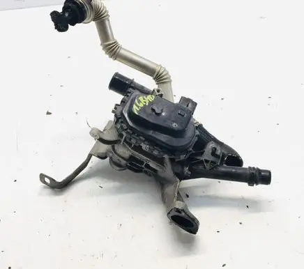 Citroen C4 Cactus EGR valve 9807369980