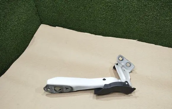 Opel Movano B Engine bonnet/hood hinges 654000006R