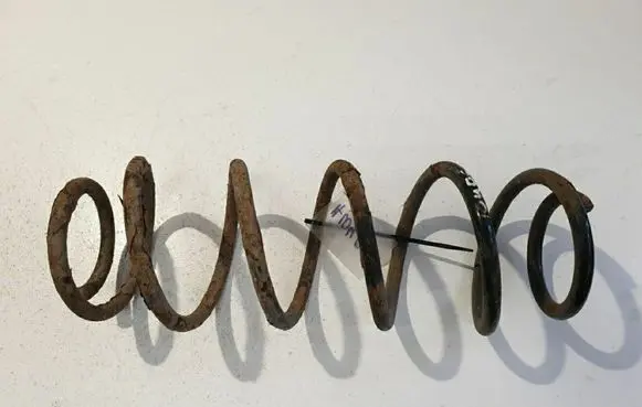 Rear coil spring