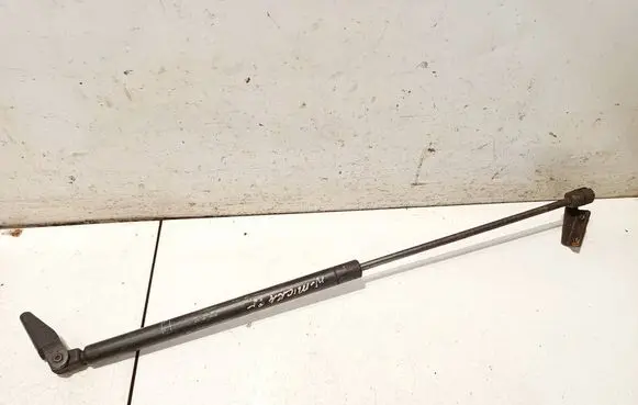 Tailgate/trunk strut/damper