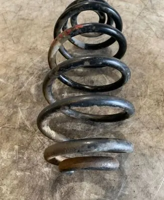 Rear coil spring