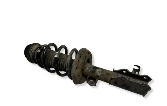 Opel Zafira C Front shock absorber with coil spring 13474022
