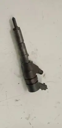 Citroen C5 Fuel injector 0445110076