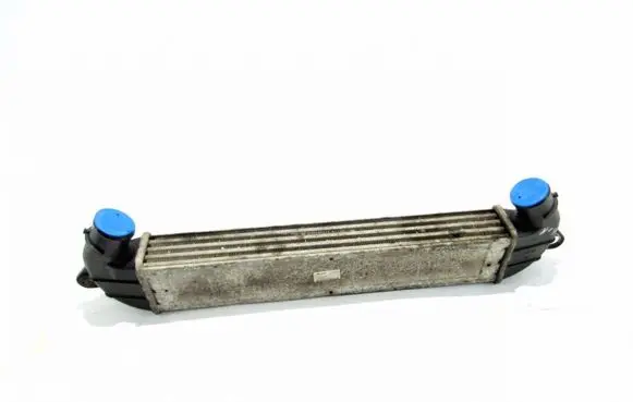 Fiat Doblo Intercooler radiator 517189530