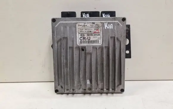 KIA Carnival Engine control unit/module 391024X520 R040C010D