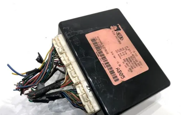 KIA Soul Other control units/modules 954002K220