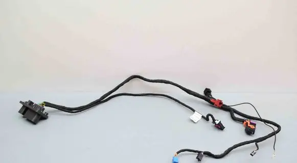 Other wiring loom