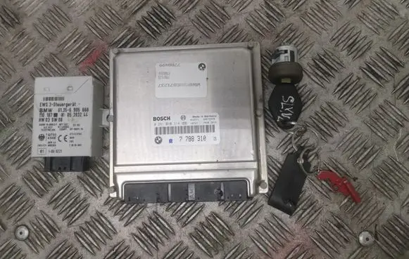 BMW 5 E39 Engine control unit/module 0281010314