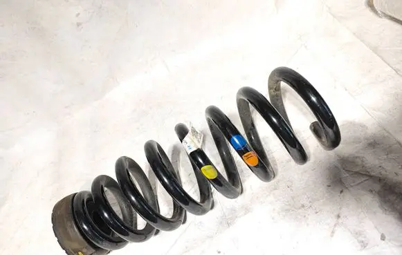 Rear coil spring