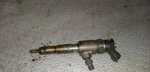 Citroen C3 Fuel injector 0445110252