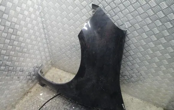 Renault Modus Fender