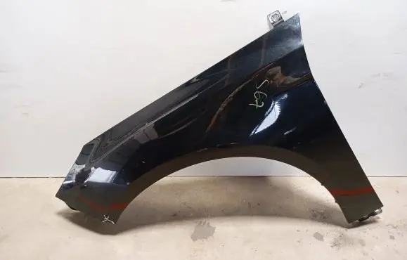 Ford Focus Fender