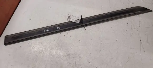 Ford Focus Front door trim (molding) 98ABF20938AEW