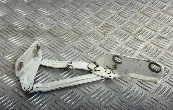 Mercedes-Benz Sprinter W906 Engine bonnet/hood hinges 9067500021 0002