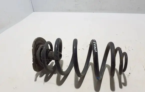 Mercedes-Benz Vito Viano W639 Rear coil spring A6393242904