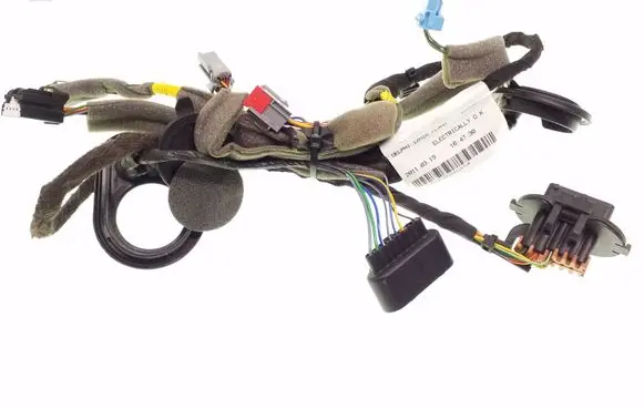 Rear door wiring loom