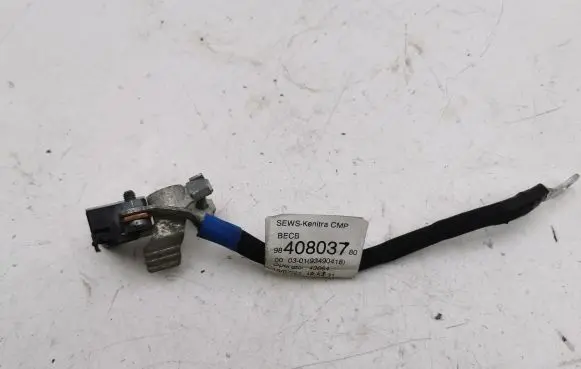 Citroen C4 III e-C4 Negative earth cable (battery) 9840803780