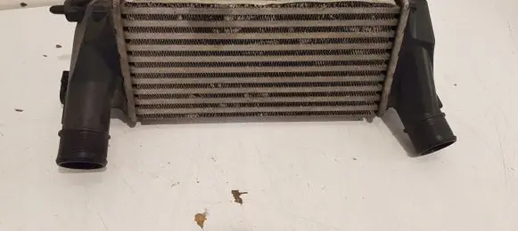Ford Ecosport Intercooler radiator C1B19L440AC