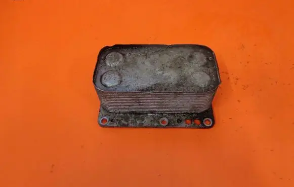 Renault Trafic II (X83) Engine oil radiator 