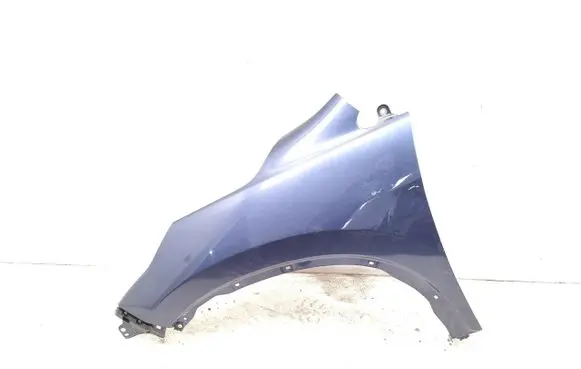 Fender