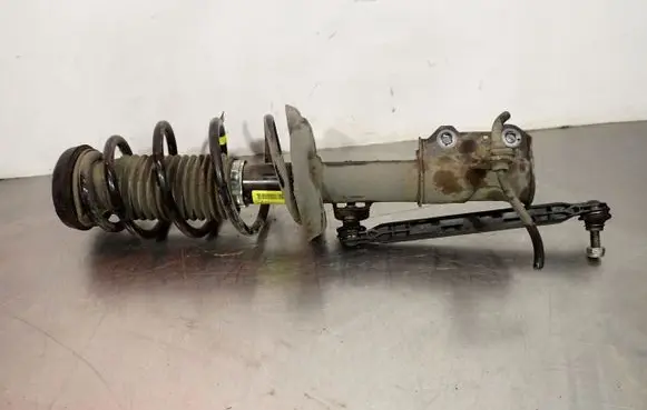 Chevrolet Cruze Front shock absorber with coil spring 13412716