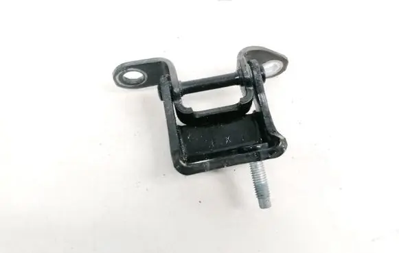 Rear door lower hinge