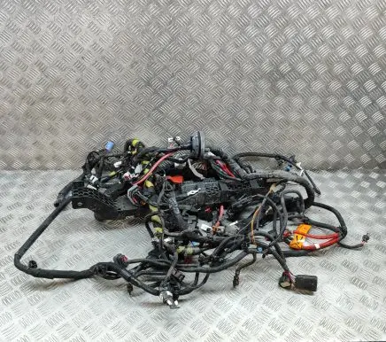 Tesla Model 3 Other wiring loom 256796408B
